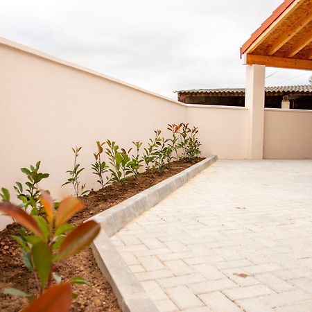 Palmira's - relaxing countryside house in Batalha Exterior foto